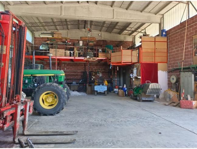 Anteprima foto 7 - Capannone in Vendita a Viguzzolo (Alessandria)