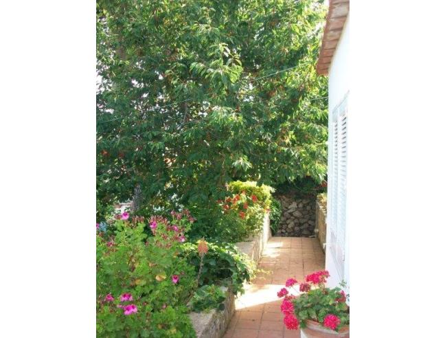 Anteprima foto 4 - Casa indipendente in Affitto a Anacapri (Napoli)