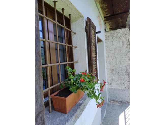 Anteprima foto 3 - Casa indipendente in Affitto a Domodossola (Verbano-Cusio-Ossola)