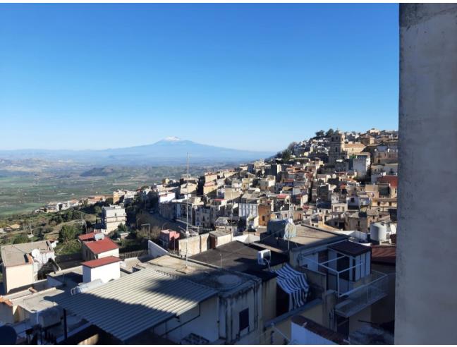 Anteprima foto 7 - Casa indipendente in Affitto a Mineo (Catania)
