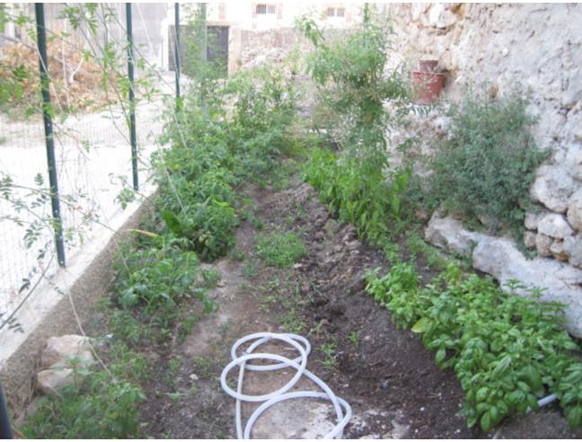 Anteprima foto 5 - Casa indipendente in Affitto a Noto (Siracusa)