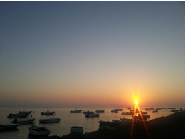 Anteprima foto 2 - Casa indipendente in Affitto a Petrosino (Trapani)
