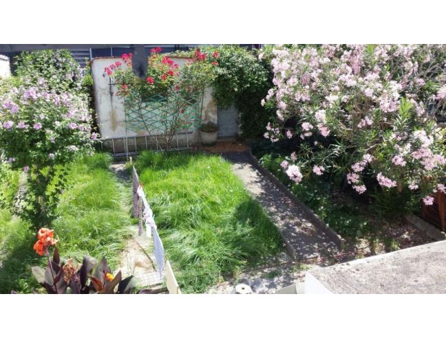 Anteprima foto 7 - Casa indipendente in Affitto a Pisa - Don Bosco