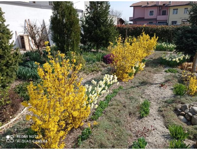 Anteprima foto 7 - Casa indipendente in Affitto a Poggio Renatico - Coronella