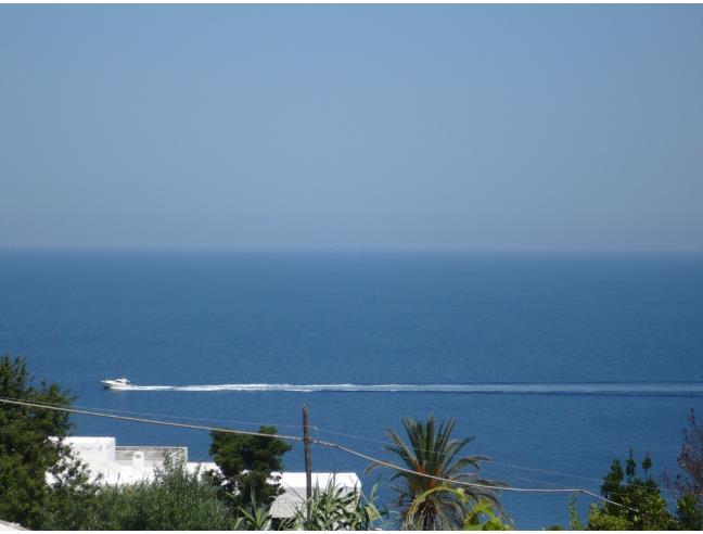 Anteprima foto 8 - Casa indipendente in Affitto a Ponza (Latina)