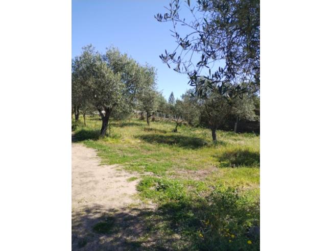 Anteprima foto 7 - Casa indipendente in Affitto a Sorso (Sassari)