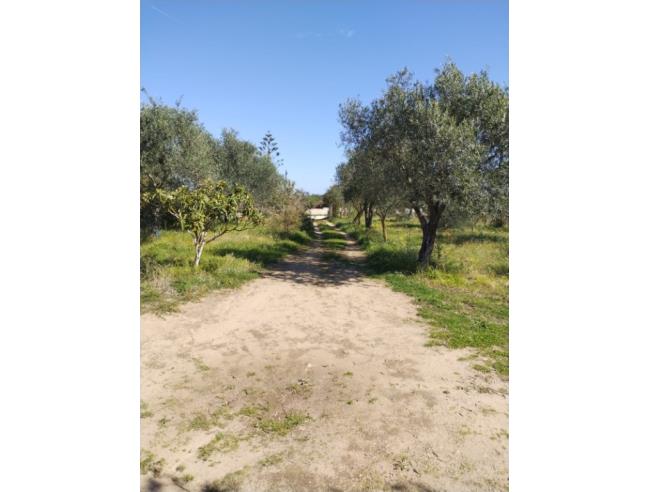 Anteprima foto 8 - Casa indipendente in Affitto a Sorso (Sassari)