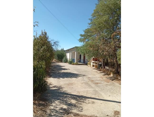 Anteprima foto 7 - Casa indipendente in Affitto a Villapiana (Cosenza)