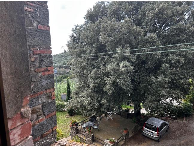 Anteprima foto 8 - Casa indipendente in Affitto a Vinci (Firenze)