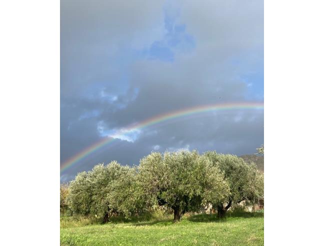 Anteprima foto 1 - Casa indipendente in Vendita a Agrigento (Agrigento)