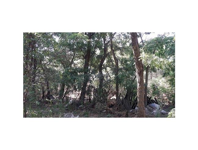 Anteprima foto 3 - Casa indipendente in Vendita a Albano Laziale (Roma)