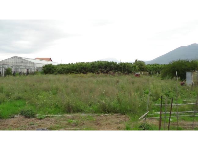 Anteprima foto 3 - Casa indipendente in Vendita a Albenga (Savona)