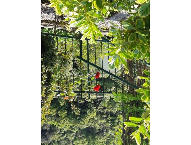 Anteprima foto 7 - Casa indipendente in Vendita a Albisola Superiore - Ellera