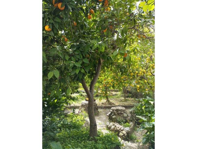 Anteprima foto 8 - Casa indipendente in Vendita a Ales (Oristano)