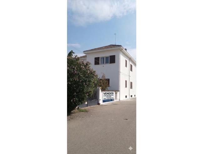 Anteprima foto 8 - Casa indipendente in Vendita a Alessandria - Centro città