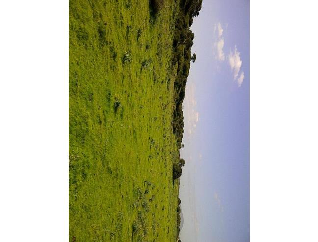 Anteprima foto 2 - Casa indipendente in Vendita a Alghero - Surigheddu