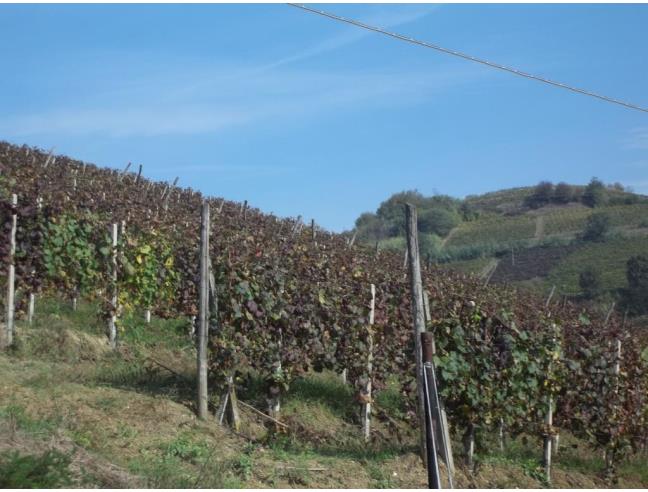 Anteprima foto 3 - Casa indipendente in Vendita a Alice Bel Colle - Stazione Di Alice Bel Colle