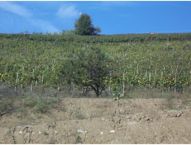 Anteprima foto 4 - Casa indipendente in Vendita a Alice Bel Colle - Stazione Di Alice Bel Colle