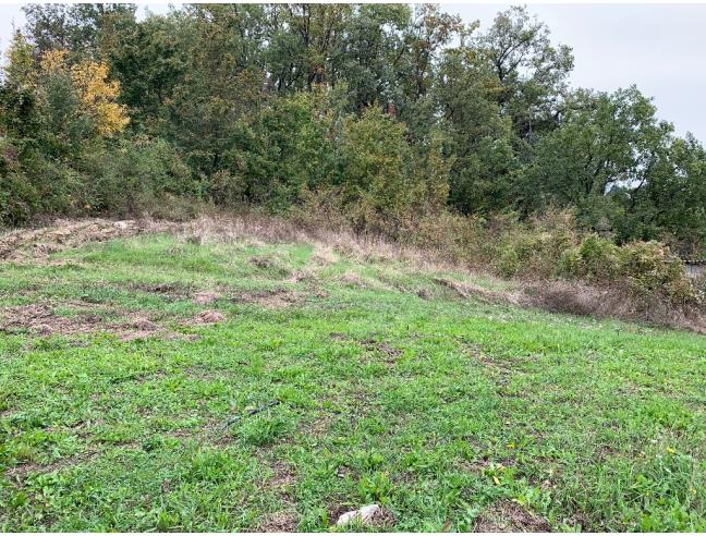 Anteprima foto 8 - Casa indipendente in Vendita a Alta Val Tidone (Piacenza)