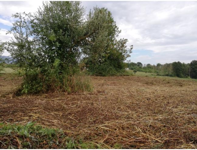 Anteprima foto 8 - Casa indipendente in Vendita a Alvignano (Caserta)