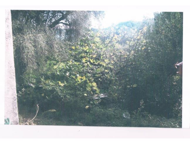 Anteprima foto 5 - Casa indipendente in Vendita a Andora (Savona)