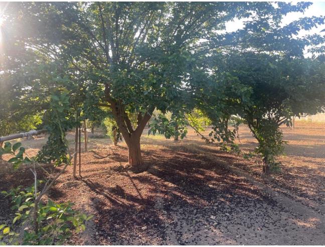 Anteprima foto 8 - Casa indipendente in Vendita a Ardore - Ardore Marina