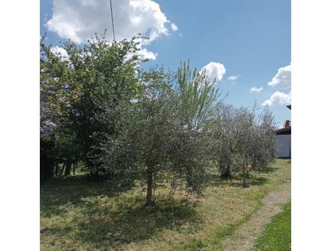 Anteprima foto 3 - Casa indipendente in Vendita a Arezzo - Pratantico