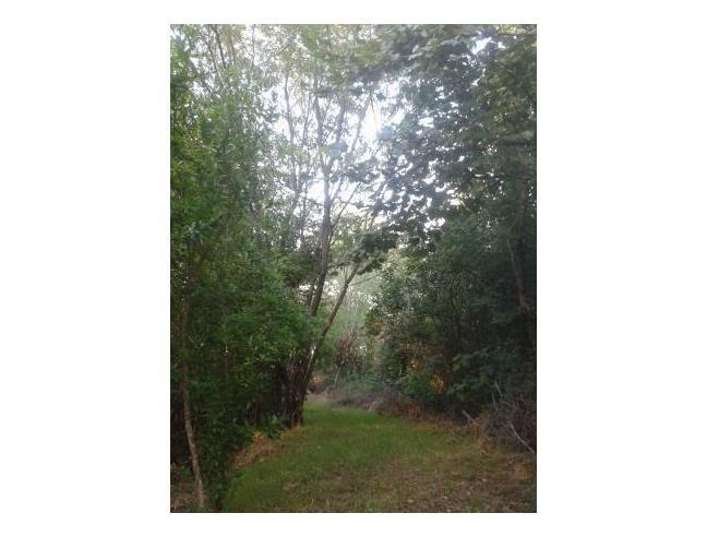 Anteprima foto 3 - Casa indipendente in Vendita a Ariano Irpino (Avellino)