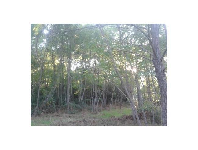 Anteprima foto 5 - Casa indipendente in Vendita a Ariano Irpino (Avellino)