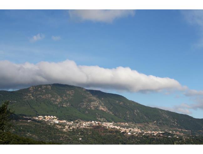 Anteprima foto 2 - Casa indipendente in Vendita a Arzana (Nuoro)