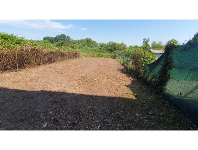 Anteprima foto 6 - Casa indipendente in Vendita a Asigliano Vercellese (Vercelli)