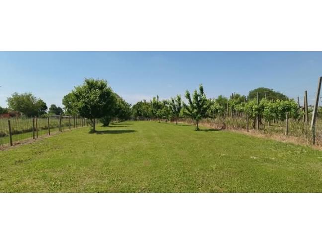 Anteprima foto 8 - Casa indipendente in Vendita a Bagnolo di Po (Rovigo)