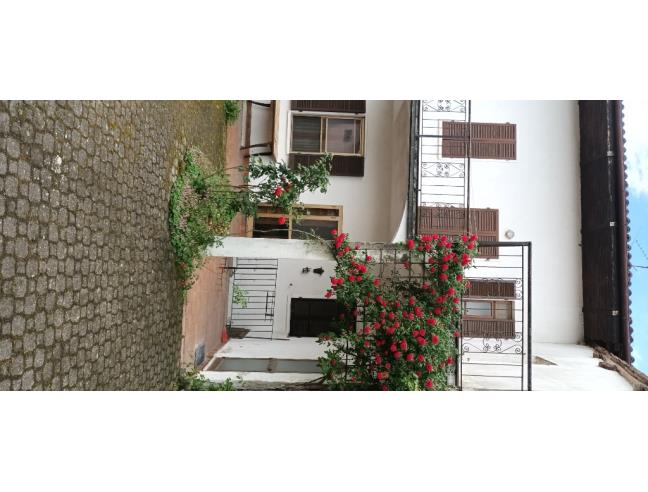 Anteprima foto 1 - Casa indipendente in Vendita a Bassignana (Alessandria)