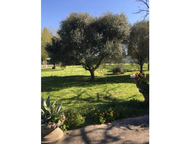 Anteprima foto 3 - Casa indipendente in Vendita a Battaglia Terme (Padova)