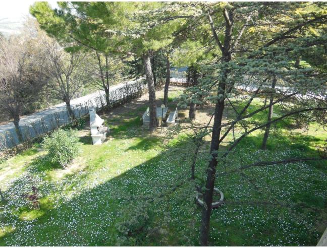 Anteprima foto 7 - Casa indipendente in Vendita a Belvedere Ostrense (Ancona)