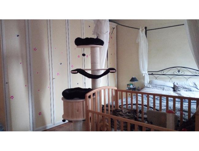 Anteprima foto 6 - Casa indipendente in Vendita a Bevilacqua (Verona)