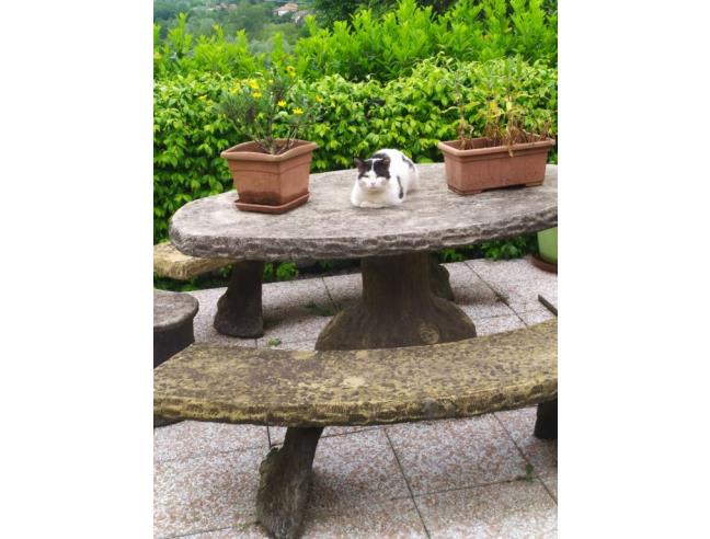 Anteprima foto 7 - Casa indipendente in Vendita a Biandronno (Varese)