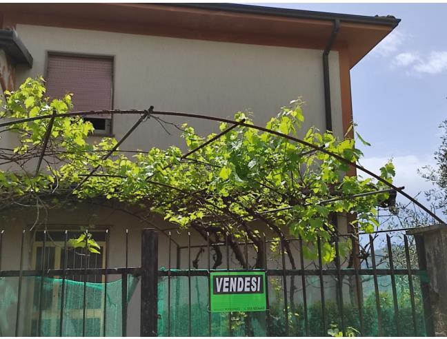 Anteprima foto 3 - Casa indipendente in Vendita a Bolano - Ceparana