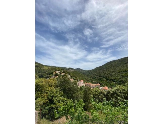 Anteprima foto 4 - Casa indipendente in Vendita a Bortigiadas (Sassari)