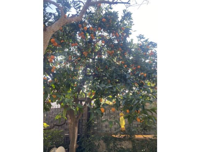 Anteprima foto 4 - Casa indipendente in Vendita a Boscoreale (Napoli)