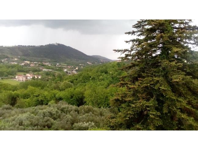 Anteprima foto 2 - Casa indipendente in Vendita a Boville Ernica - Casavitola