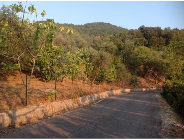 Anteprima foto 8 - Casa indipendente in Vendita a Calabritto (Avellino)