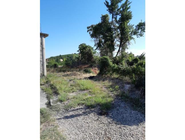 Anteprima foto 2 - Casa indipendente in Vendita a Calamandrana (Asti)