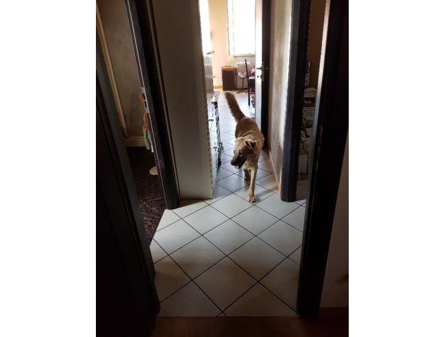 Anteprima foto 4 - Casa indipendente in Vendita a Calcinaia - Fornacette