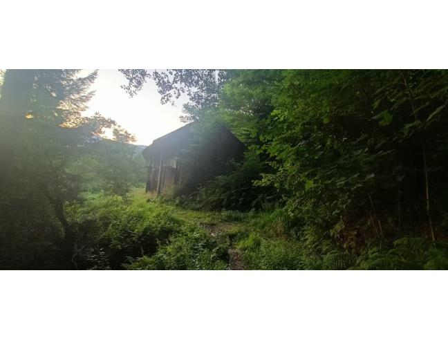 Anteprima foto 8 - Casa indipendente in Vendita a Calizzano - Mereta