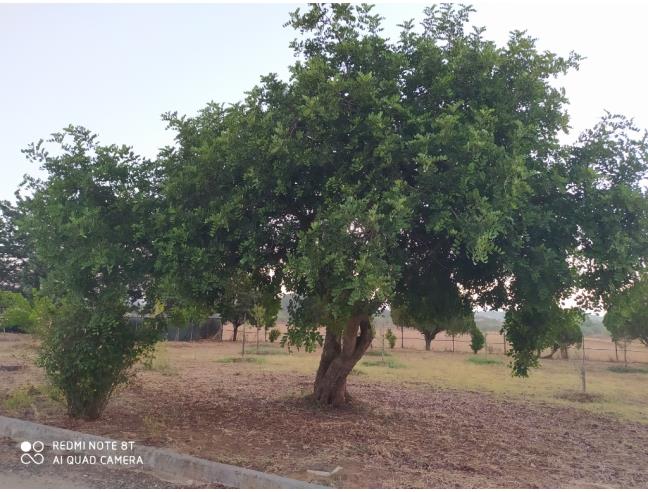 Anteprima foto 6 - Casa indipendente in Vendita a Caltagirone (Catania)