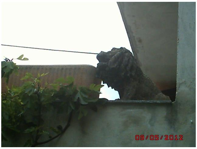 Anteprima foto 6 - Casa indipendente in Vendita a Camino - Castel San Pietro