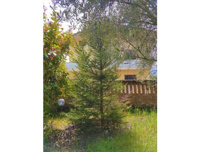 Anteprima foto 3 - Casa indipendente in Vendita a Campli (Teramo)