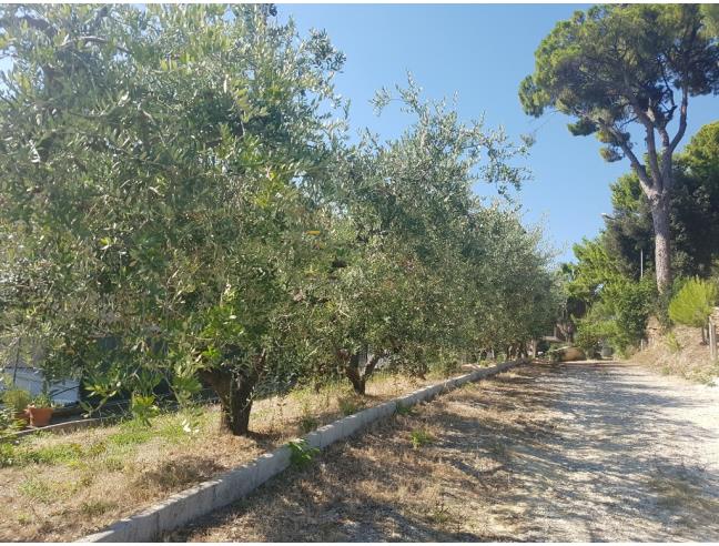 Anteprima foto 7 - Casa indipendente in Vendita a Campofilone (Fermo)