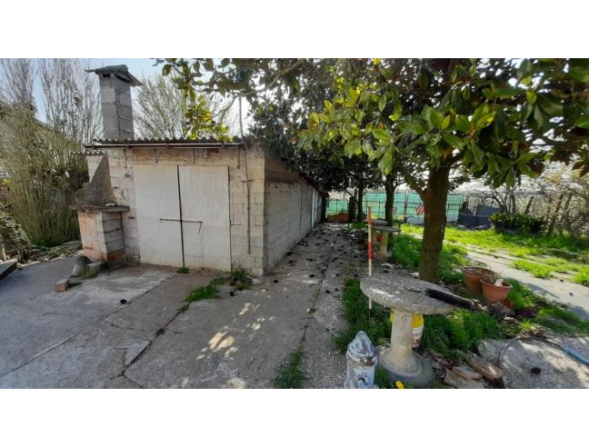 Anteprima foto 3 - Casa indipendente in Vendita a Canaro (Rovigo)